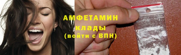apvp Горняк