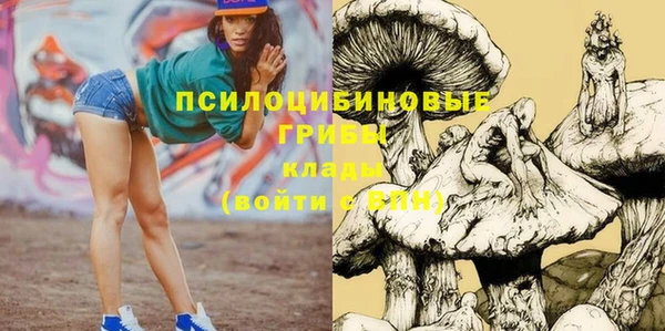 ECSTASY Гусь-Хрустальный