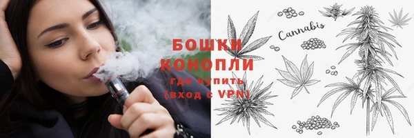 метадон Гусиноозёрск