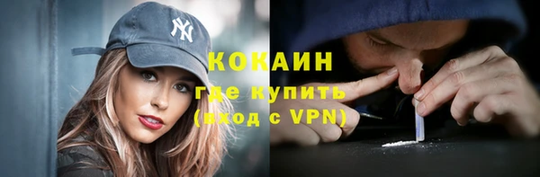 крисы Гусев