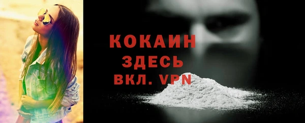 ECSTASY Гусь-Хрустальный