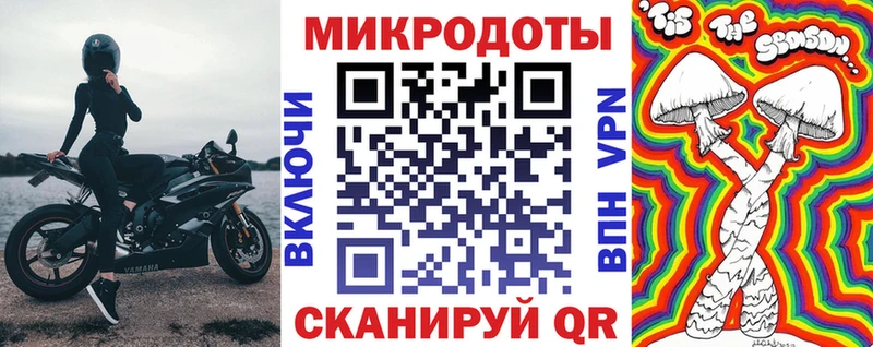 Купить где  Королёв  Псилоцибиновые грибы GOLDEN TEACHER 